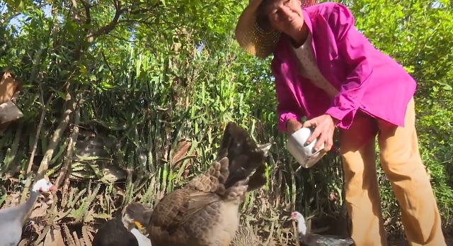 Irma, una guantanamera que apuesta por la agricultura familiar 