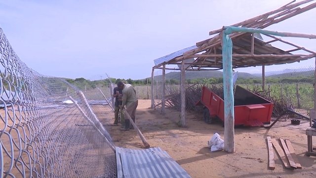 Laura destruye naves para animales en municipio de Manuel Tames en Guantánamo