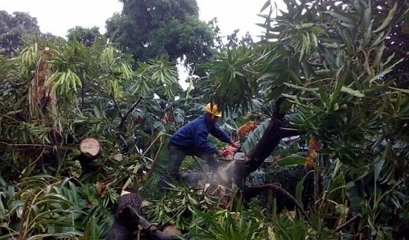 Los trabajadores de ETECSA implementan las medidas para garantizar la vitalidad del sistema de telecomunicaciones y disminuir los daños. Foto: MICOM Cuba. / Twitter.