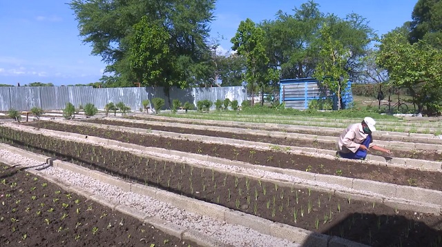 La ciencia en función de la producción de alimentos 