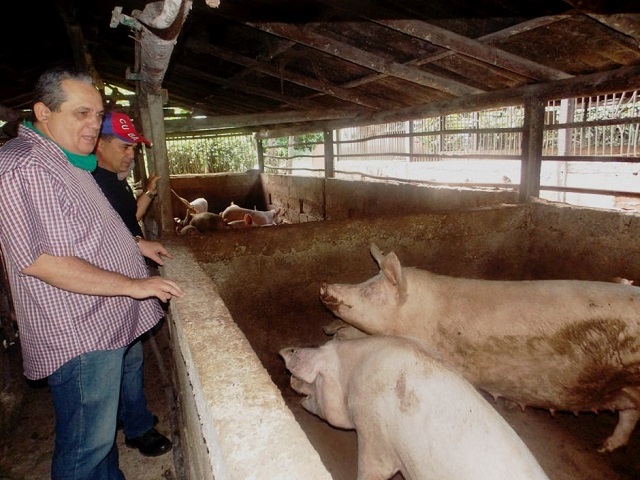 Yateras va por más en la producción de alimentos