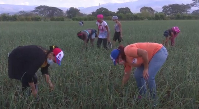 Mujeres guantanameras en la primera línea