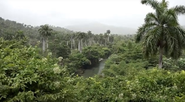 Conectando paisajes para preservar ecosistemas montañosos 