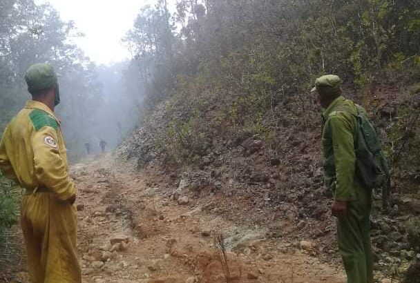 Evalúan daños tras incendio en Parque Nacional Alejandro de Humboldt