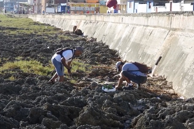 Baracoa: preservar el medio ambiente