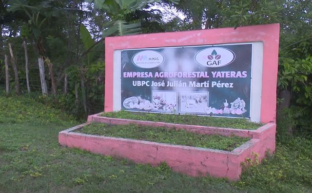 UBPC José Martí: 30 años produciendo desde el lomerío de Yateras