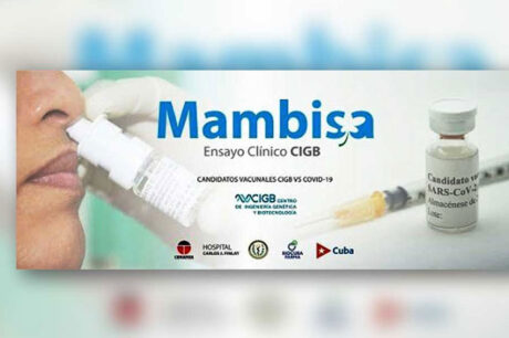 Autoriza CECMED estudio clínico de candidato vacunal Mambisa como dosis de refuerzo