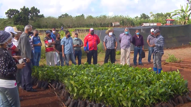 Fructíferos intercambios en Primer Festival del Café en Maisí