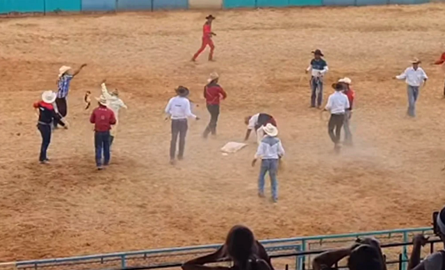 Cuba: Sancionados por maltrato animal 